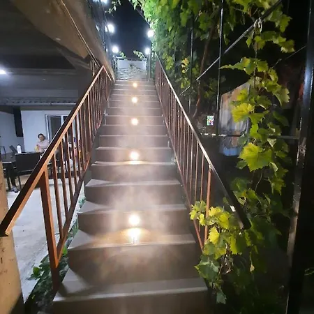 Guest house Casa Marstef *